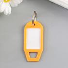 Бирка для ключей на кольце «Идентификатор фигурный», пластик, 5×2.3×0.3 см, МИКС - Фото 2