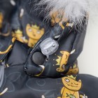 Комплект детский (Куртка + Полукомбинезон), рост 80 см, цвет серый(корона) - Фото 4