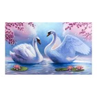 Картина на холсте "Лебеди на пруду" 60*100 см - фото 9385546