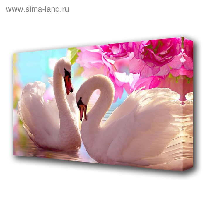 Картина на холсте "Влюблённые лебеди" 60*100 см - Фото 1