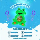 Водная игра «Лягушка», цвета МИКС - Фото 1