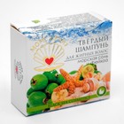 Твёрдый шампунь «Морская соль и фейхоа», для жирных волос, «Море лечит», бессульфатный 30 г - Фото 1