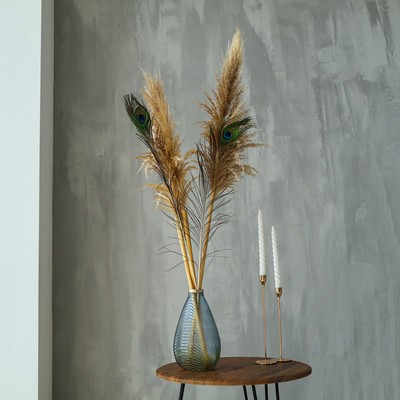 Перо павлина для декора, 1 шт.