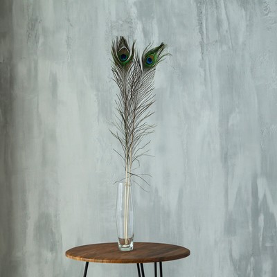 Перо павлина для декора, 1 шт.