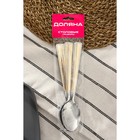 Набор ложек столовых из нержавеющей стали Доляна «Перту», длина 20,3 см, 6 шт, цвет серебряный - фото 24563316