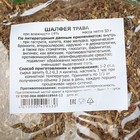 Сбор Шалфея трава, 50 гр, п/п - Фото 3