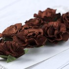 Цветы гвоздики бумажные "Темно-коричневые" набор 8 шт - Фото 3