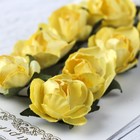 Цветы розы бумажные "Нежно-желтые" набор 8 шт - Фото 3