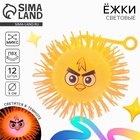 Мяч детский резиновый ёжка «Феликс», резиновый, световой, цвета МИКС - Фото 1