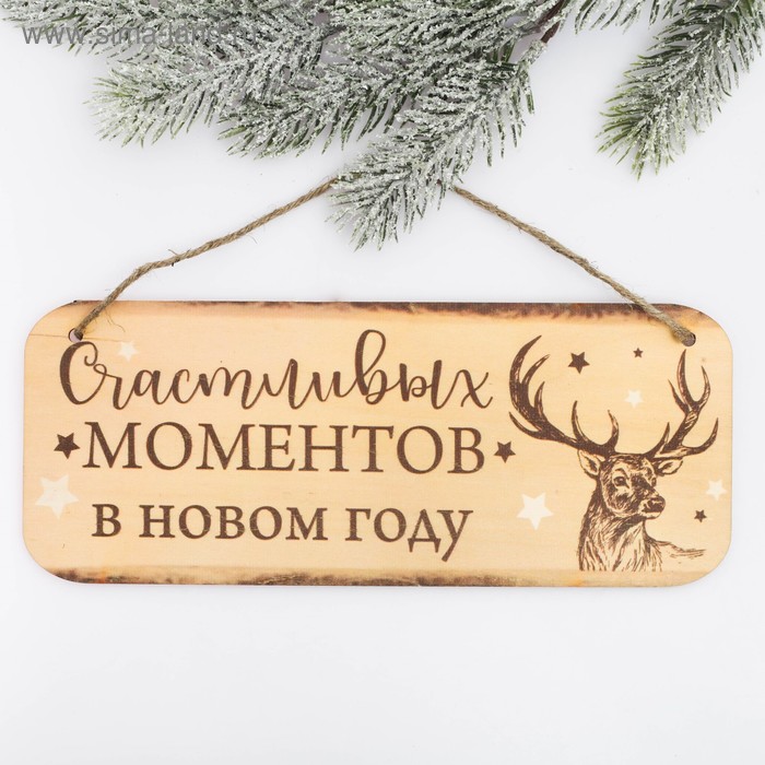 Табличка декоративная на спиле «Счастливых моментов» - Фото 1