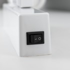 Ночник пластик "Кактус" 3АА (не в комплекте) диодная лента белый 12,7х7,1х28 RISALUX - фото 20834683