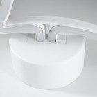 Ночник пластик "Единорог"диодная лента 3АА (не в комплекте) 23,5х7,1х27 - Фото 6