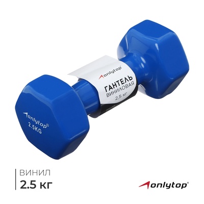 Гантель виниловая ONLYTOP, 2.5 кг, синяя
