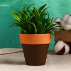 Горшок для цветов «Трапеция» керамический, 250 мл, 8×8×8 см, терракот - Фото 6