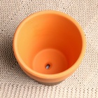 Горшок для цветов «Трапеция» керамический, 250 мл, 8×8×8 см, терракот - Фото 7