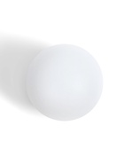 Мяч для настольного тенниса, PP, цвет белый - Фото 6