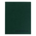 Премиум-дневник универсальный, для 1-11 класса Vivella, обложка искусственная кожа, зелёный - фото 8694837