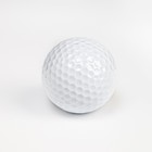 Мяч для гольфа, двухслойный, 420 выемок, d=4.3 см, 45 г - фото 8340107