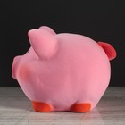 Копилка "Поросёнок Пупсик", флок, розовый цвет, 17 см, микс - Фото 4