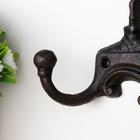 Настенные крючки декоративные «Лось», чугун, 15×16×3.5 см - Фото 2