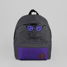 Рюкзак молодёжный "Котик в очках", отдел на молнии, наружный карман, цвет серый/лиловый - Фото 2