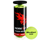 Набор мячей для большого тенниса WERKON 929 в тубе, 3 шт. - фото 4533660