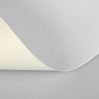 Картон белый НЕмелованный "Лайнер" 720*1050мм, плотность 110г/м2 1л Calligrata - Фото 2