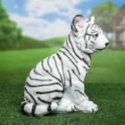 Садовая фигура "Тигрёнок" белый, 30х24 см - Фото 4