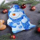 Блюдо стеклянное сервировочное Доляна «Снеговик в голубом», 22×15 см - фото 4247200