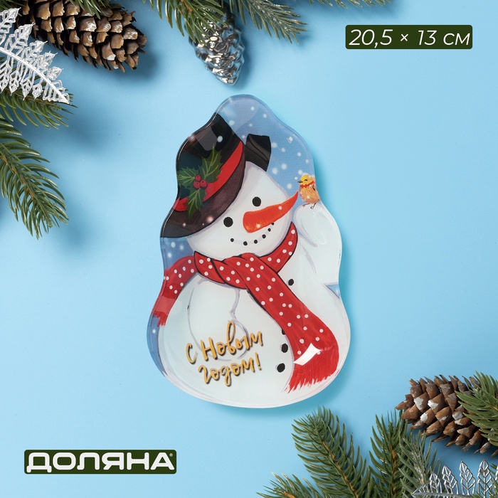 Блюдо сервировочное Доляна «Снеговик и воробей», 20.5×13 см, стекло - Фото 1