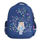 Рюкзак каркасный 38 х 30 х 20 см, Bruno Visconti "Сова", синий - фото 22650636