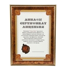 Фоторамка пластик "Архаика" золотая кайма формат А4 - Фото 1