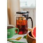 Чайник стеклянный заварочный Magistro «Мантана», 500 мл, с пластиковым ситом - Фото 10