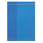 Колледж-тетрадь А4, 80 листов в клетку "Синяя в полоску", твёрдая обложка - Фото 1