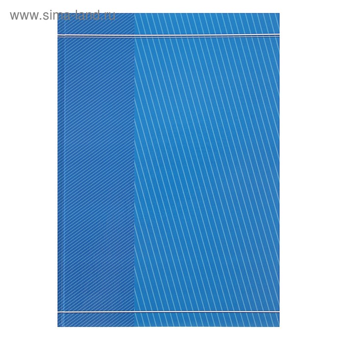 Колледж-тетрадь А4, 80 листов в клетку "Синяя в полоску", твёрдая обложка - Фото 1