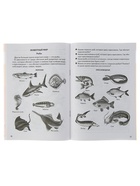 Рабочая тетрадь для детей 5-6 лет «Знакомимся с окружающим миром», Бортникова Е. - Фото 5