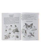 Рабочая тетрадь для детей 5-6 лет «Знакомимся с окружающим миром», Бортникова Е. - Фото 6