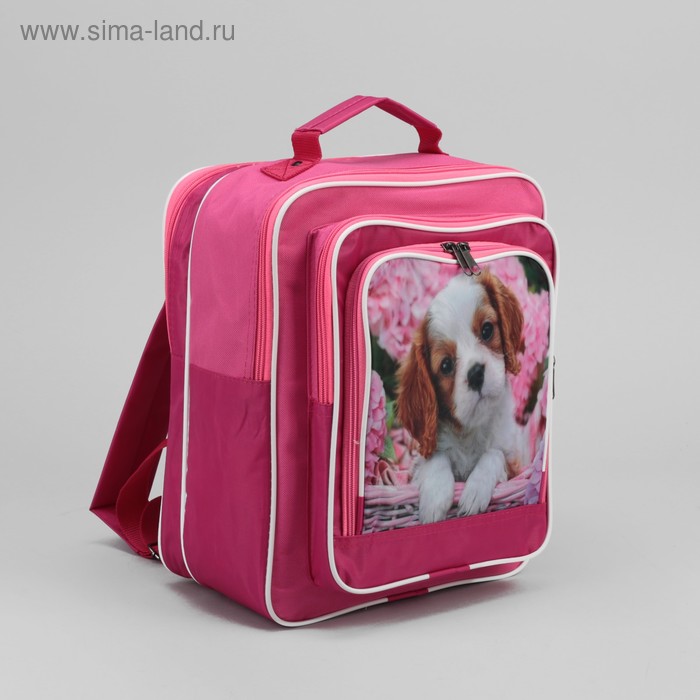 Рюкзак школьный, отдел на молнии, 2 наружных кармана, цвет розовый - Фото 1