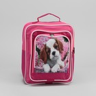 Рюкзак школьный, отдел на молнии, 2 наружных кармана, цвет розовый - Фото 2