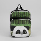 Рюкзак школьный "Панда", 2 отдела на молнии, 2 наружных кармана - Фото 2