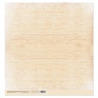 Бумага для скрапбукинга «Зима», 30,5 х 30,5 см, 180 г/м² - Фото 3