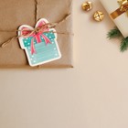 Шильдик декоративный на подарок «Кому-то очень хорошему», 6,5 х 7,9 см, Новый год - Фото 3