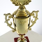 Кубок 014, наградная фигура, золото, подставка пластик, 32,5 × 16 × 8,5 см. - фото 8218179