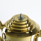 Кубок 014, наградная фигура, золото, подставка пластик, 32.5×16×8.5 см - Фото 7