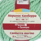 Пряжа "Меринос Канберра" 50% мерин.шерсть, 50% акрил 50м/100гр (0057 св. салат) - Фото 3