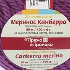 Пряжа "Меринос Канберра" 50% мерин.шерсть, 50% акрил 50м/100гр (3880 фуксия) - Фото 3