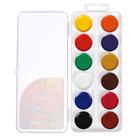 Акварель 12 цветов Мульти-Пульти «Енот в Красном море», медовая, без кисти, пластик, европодвес - Фото 2