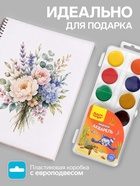 Краски акварельные 12 цветов Мульти-Пульти «Енот в Красном море», медовая, без кисти, пластик, европодвес - Фото 2