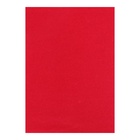 Бумага цветная бархатная А5, 10 листов, 10 цветов Мульти-Пульти, в папке - Фото 7