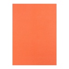 Бумага цветная бархатная А5, 10 листов, 10 цветов Мульти-Пульти, в папке - Фото 8